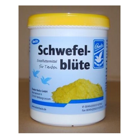 SCWEFELBLUTE 600G