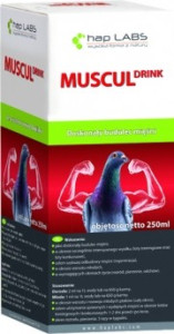 MUSCUL DRINK 250ML