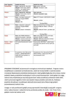 PROGRAM LOTOWY PURITAN PROMO