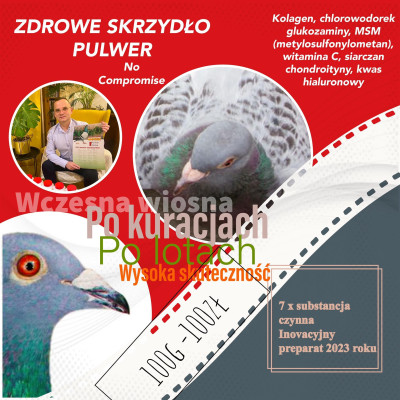 PURITAN ZDROWE SKRZYDŁO FORTE 100G