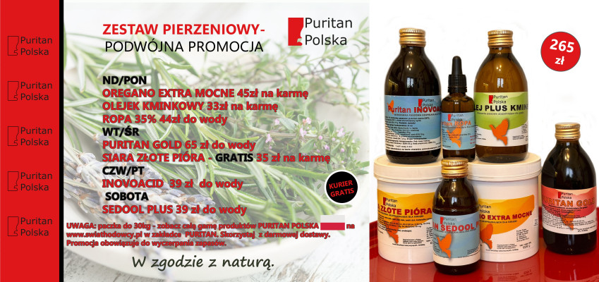 PURITAN ZESTAW PIERZENIOWY+ SIARA ZŁOTE PIÓRA GRATIS+ KURIER GRATIS