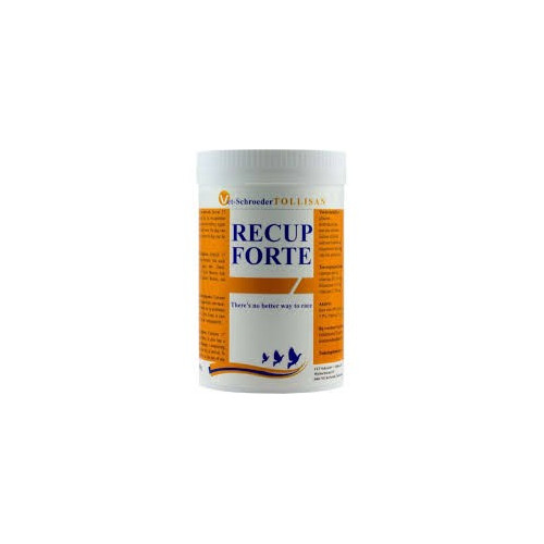 RECUP FORTE 300G