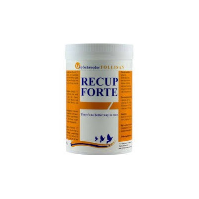 RECUP FORTE 300G