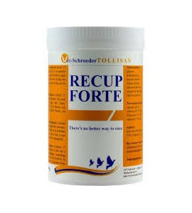 RECUP FORTE 300G