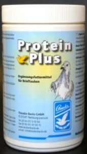 BACKS PROTEIN PLUS 400G