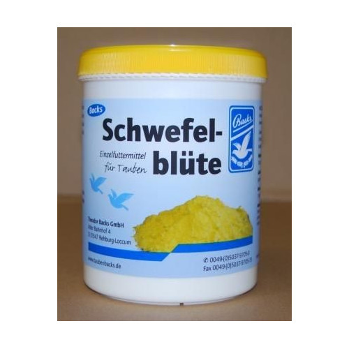 SCWEFELBLUTE 600G