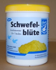 SCWEFELBLUTE 600G