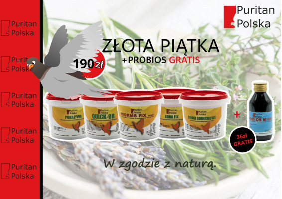 zlota-piatka-puritan-polska-probios-gratis-swiathodowcy