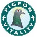 PIGEON VITALITY